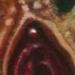 Art Galleries - untitled - 53596